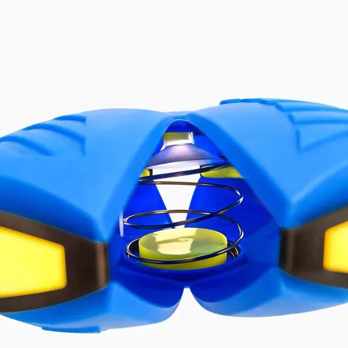 Endless Fun Pet Frisbee