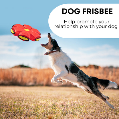 Endless Fun Pet Frisbee