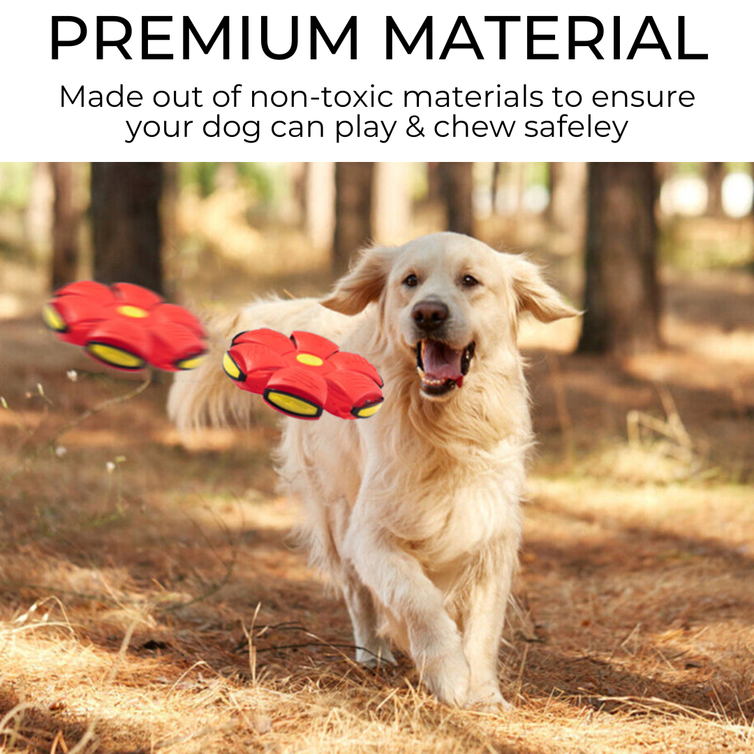 Endless Fun Pet Frisbee